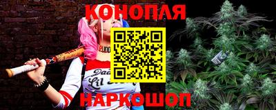 крисы Нарткала