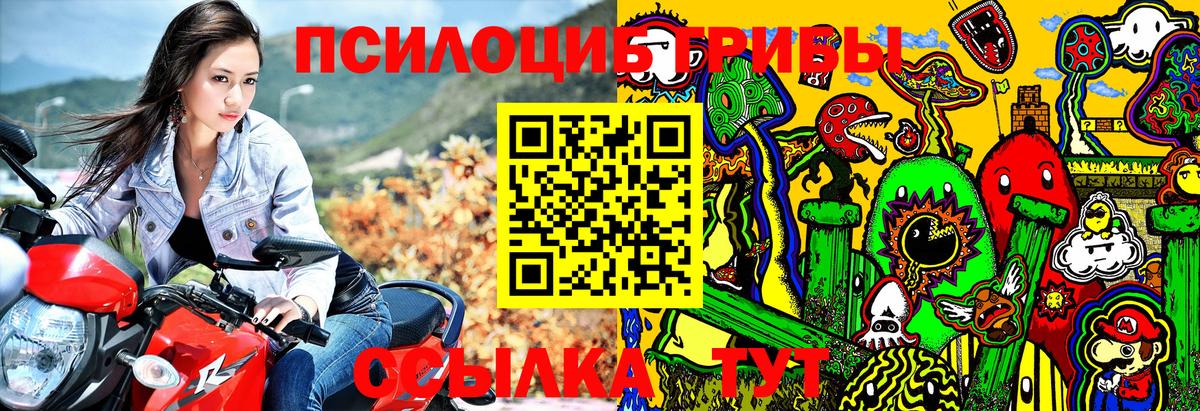 Галлюциногенные грибы Cubensis Ставрополь
