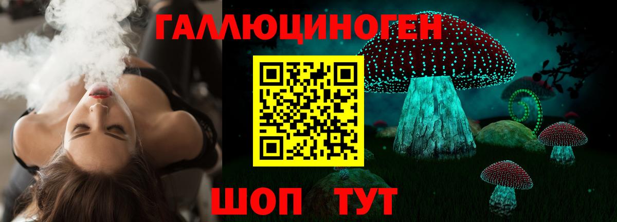 Псилоцибиновые грибы прущие грибы  Вход с VPN  Ставрополь 